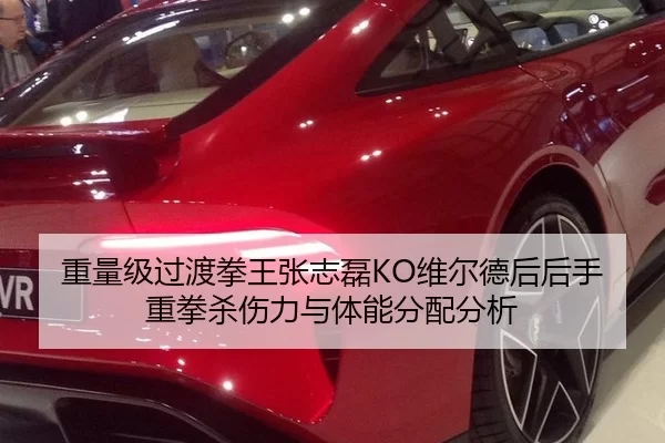 重量级过渡拳王张志磊KO维尔德后后手重拳杀伤力与体能分配分析